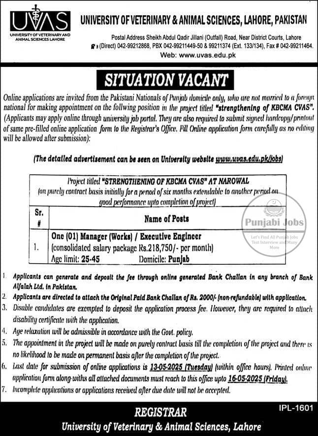 University of Veterinary And Animal Sciences Jobs 2025